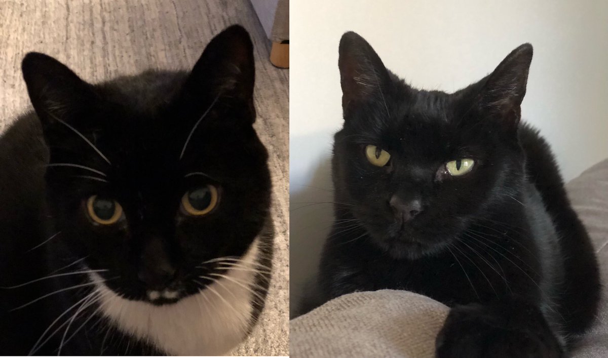 James Barker tweet media