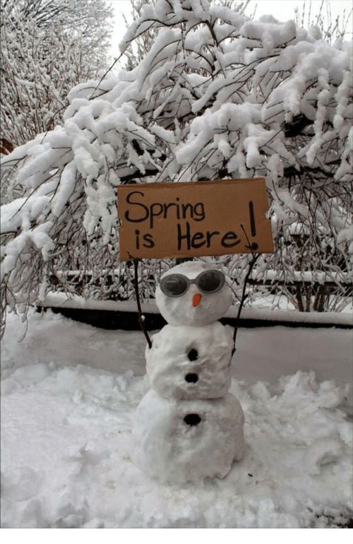 Suess Electronics | Appleton, WI tweet media