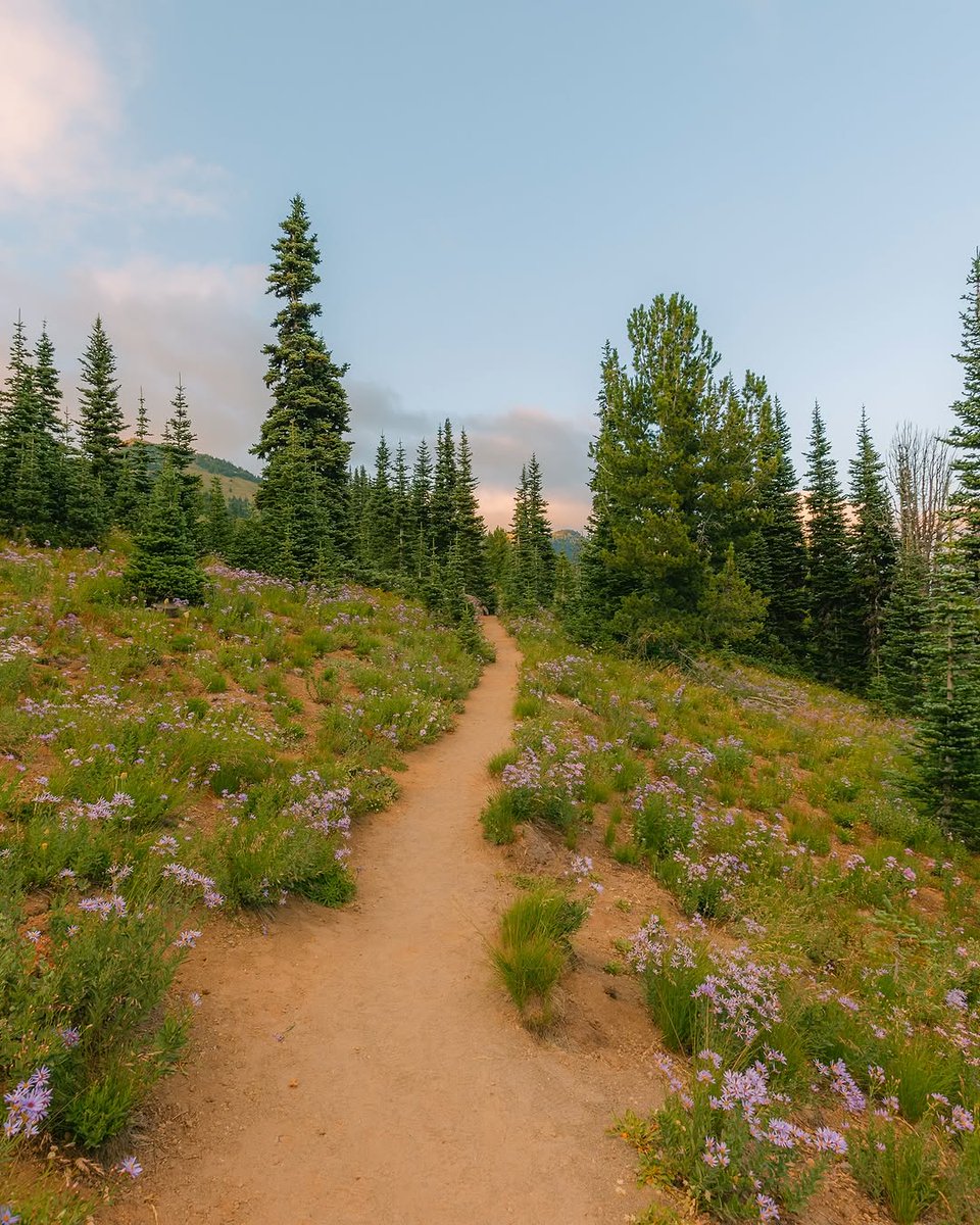 𝘄𝗮𝗻𝗱𝗲𝗿𝘁𝗿𝗮𝘃𝗲𝗹𝘀 tweet media