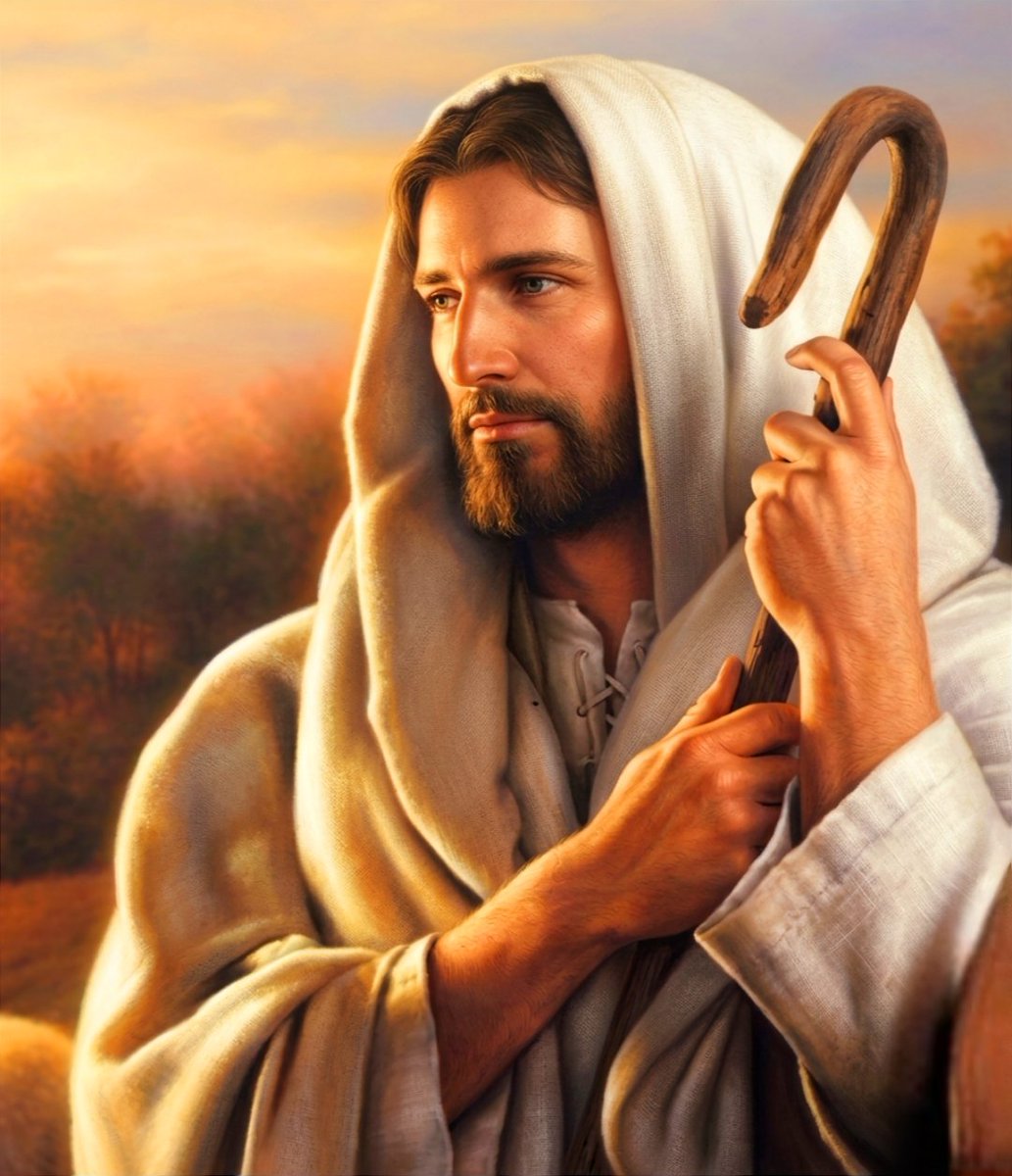 Cartoons On The Moon tweet media