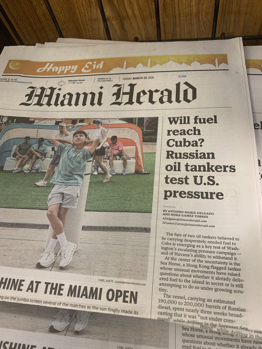 Magnusson32 🇺🇸 🇸🇪🥊 tweet media