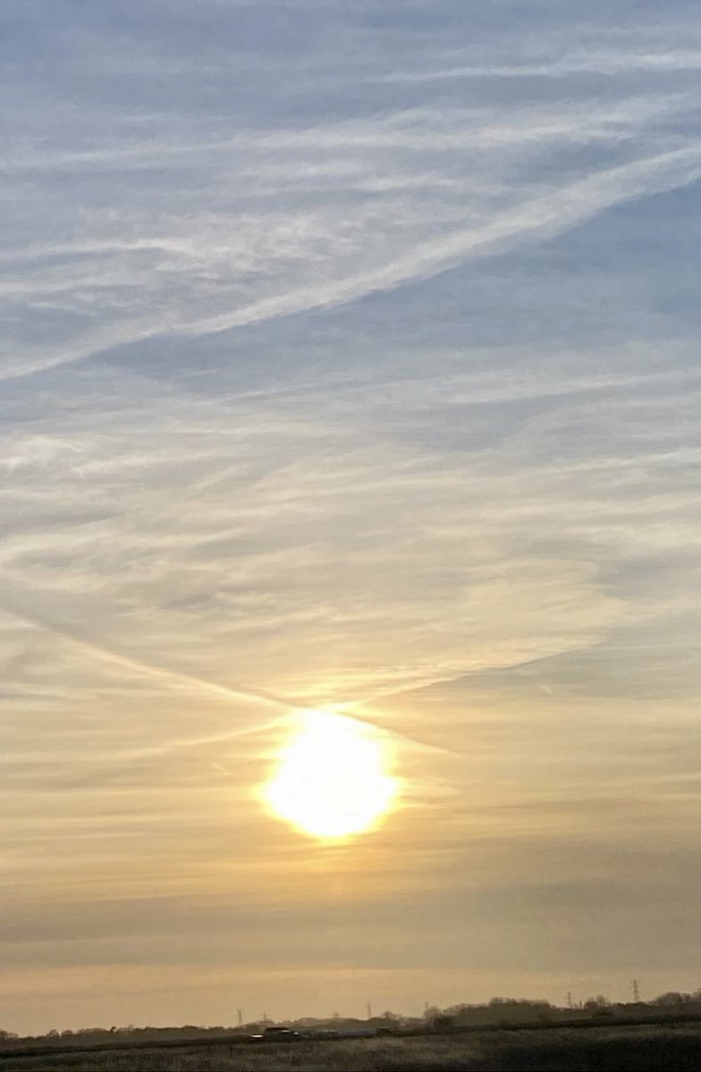 Truth Pixie tweet media