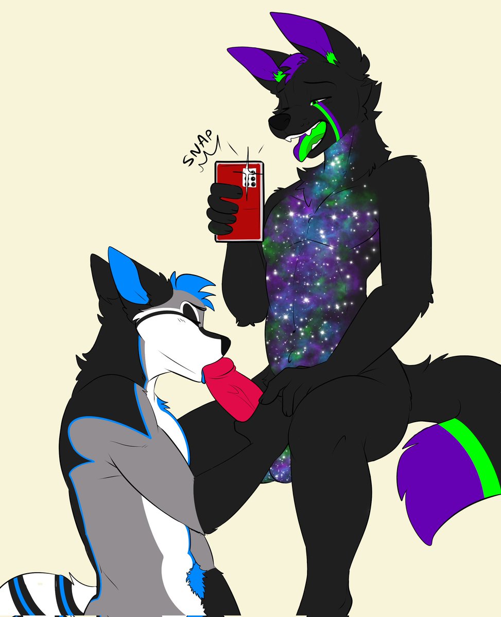 Shadow the Wusky tweet media