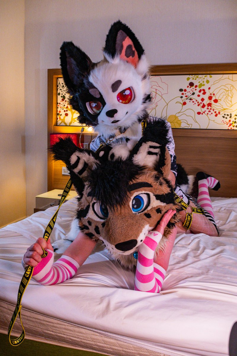 Peppermint Spice 🇨🇵 - NFC 🇸🇪 USA 2026 tweet media