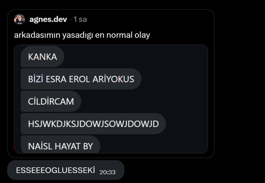 agnes.dev tweet media