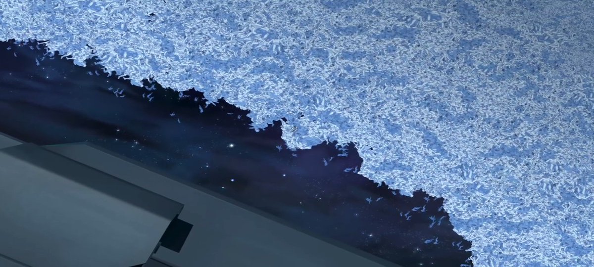 Roque (No porn) tweet media