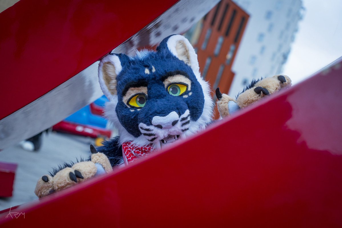 Cosmyd 🔜 NFC tweet media