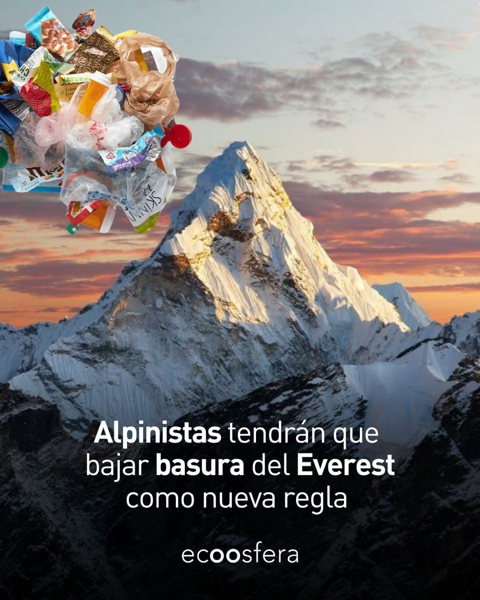 ecoosfera tweet media