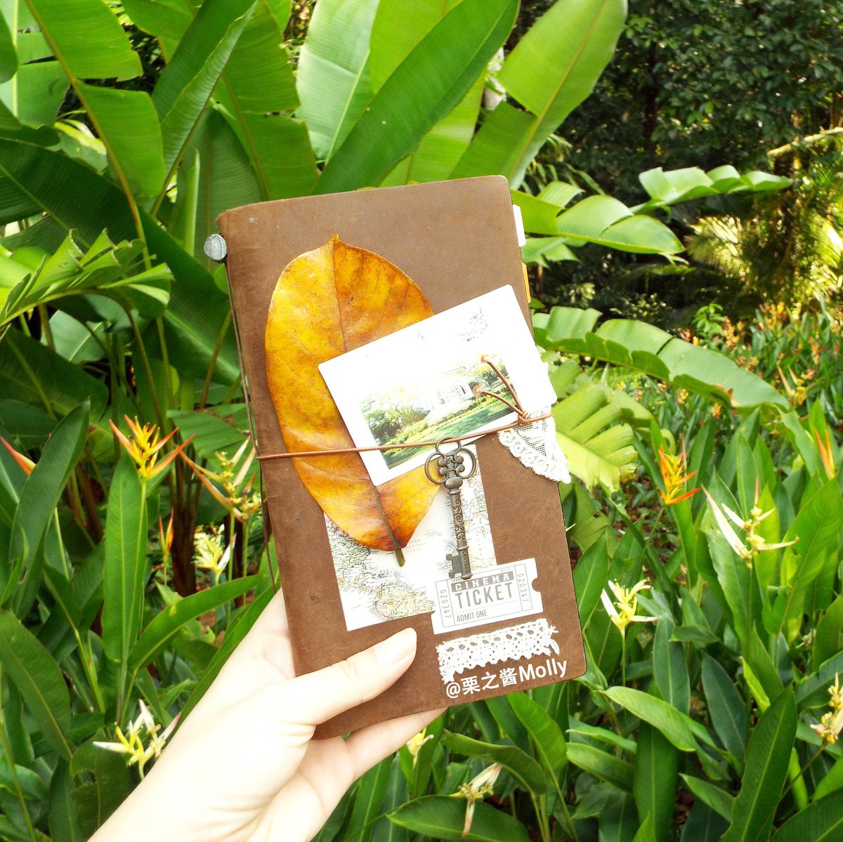 Jen Riznyk tweet media