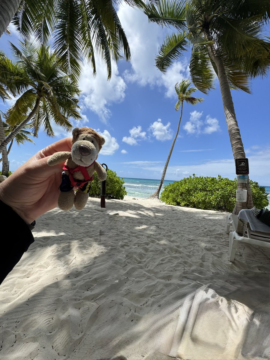 Die Kaua aus Hamm / Westfalen tweet media