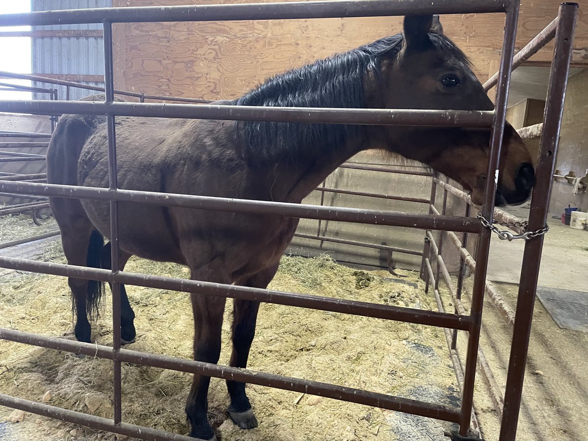 Renata Lumsden tweet media