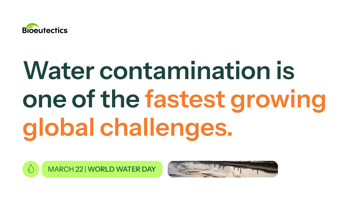 Bioeutectics tweet media