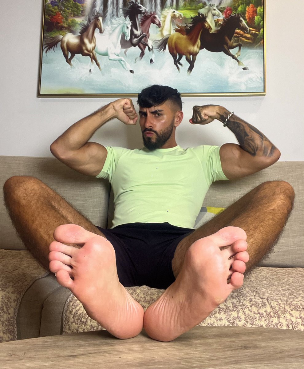 HAIL⚜️HAKAN. tweet media