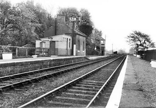 The Beast of Eeklo tweet media