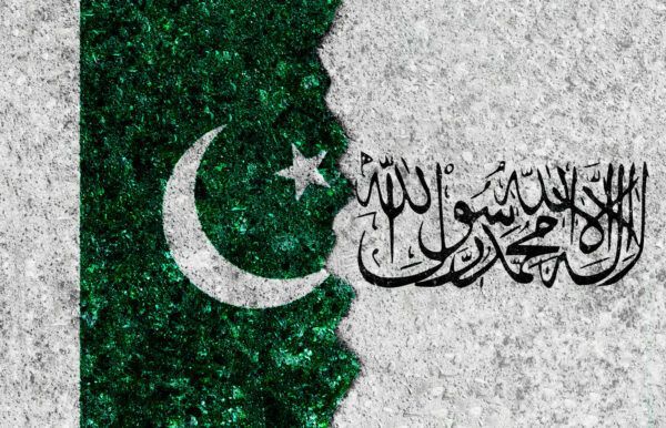 The Diplomat tweet media