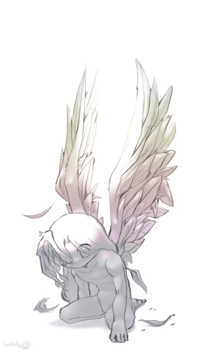 Bento & Dog tweet media