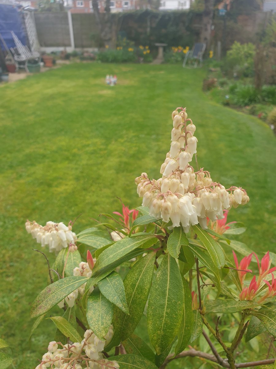 Philip A Devonport tweet media