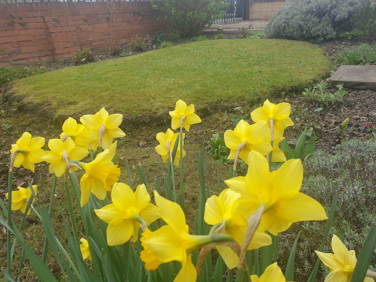 Philip A Devonport tweet media