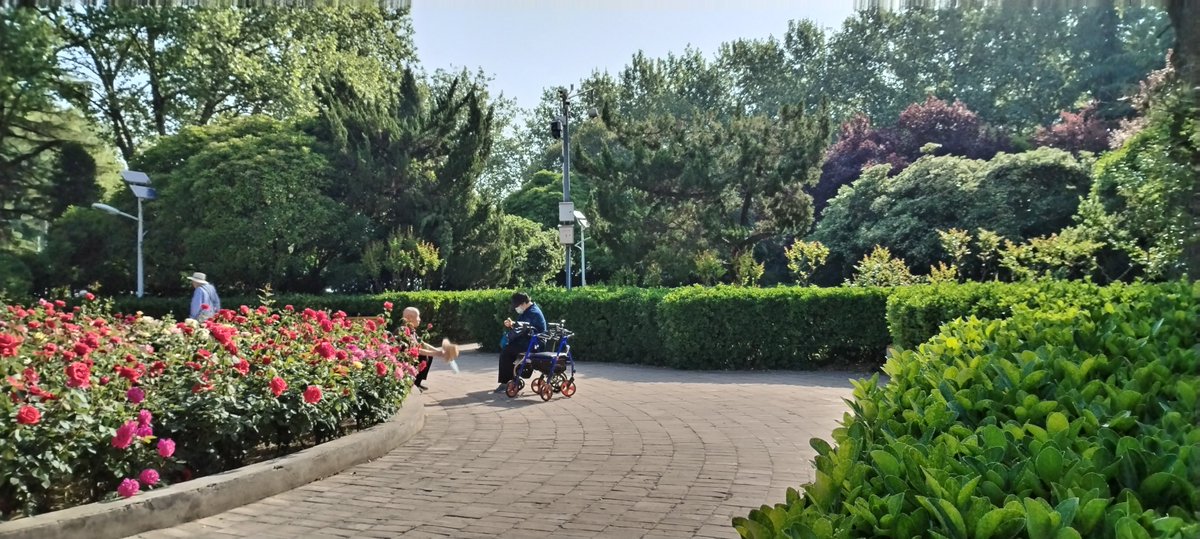 Tyler Jacob Texas tweet media