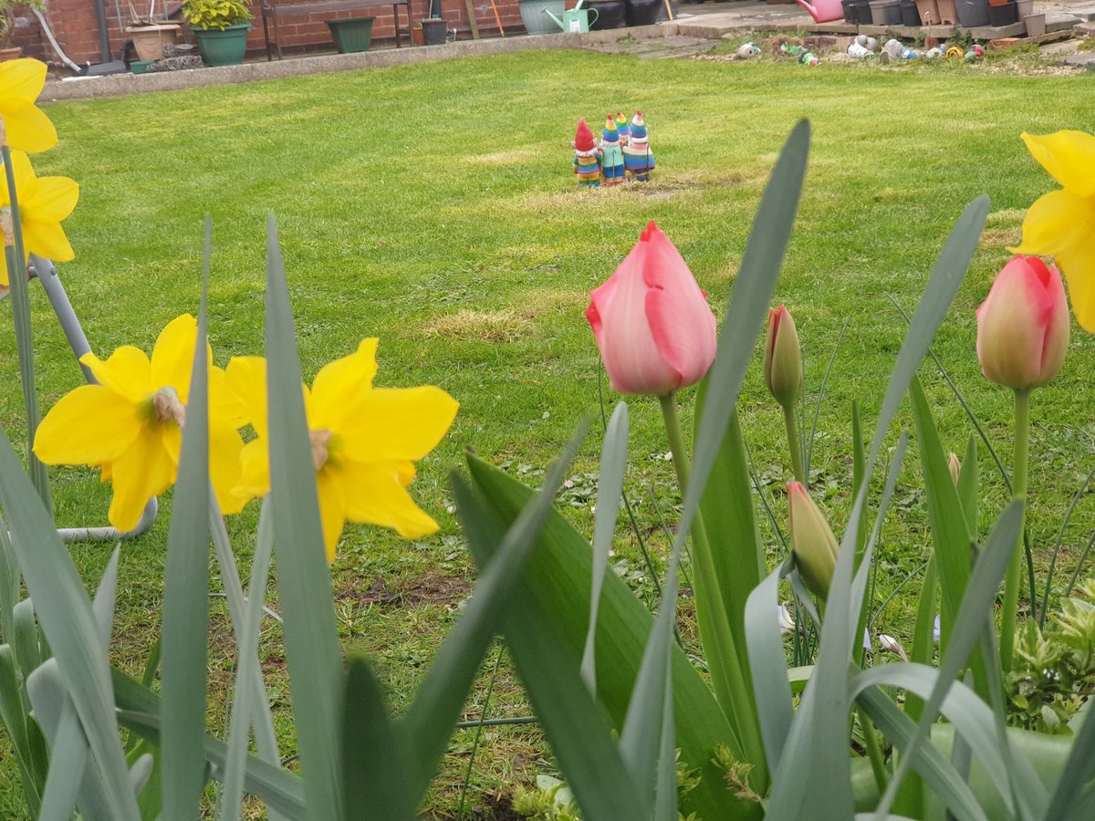 Philip A Devonport tweet media