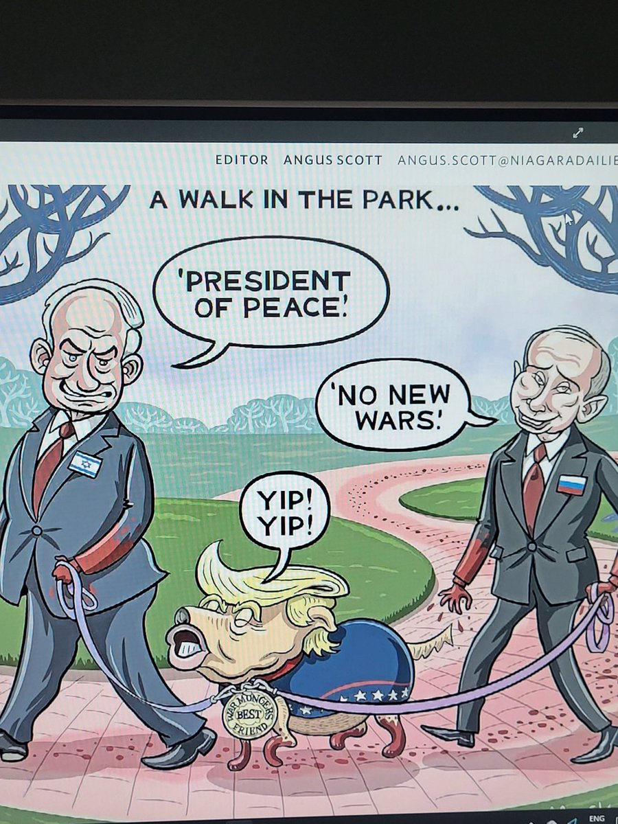 Cat Lady for All tweet media