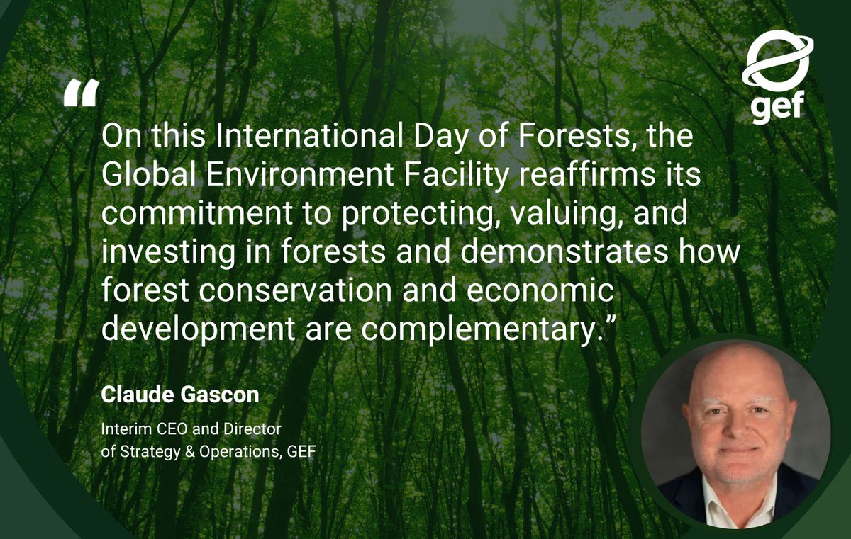 Global Environment Facility (GEF) tweet media