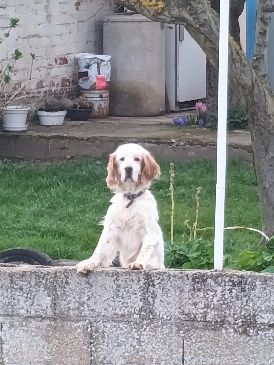 Edna Krabbapel tweet media