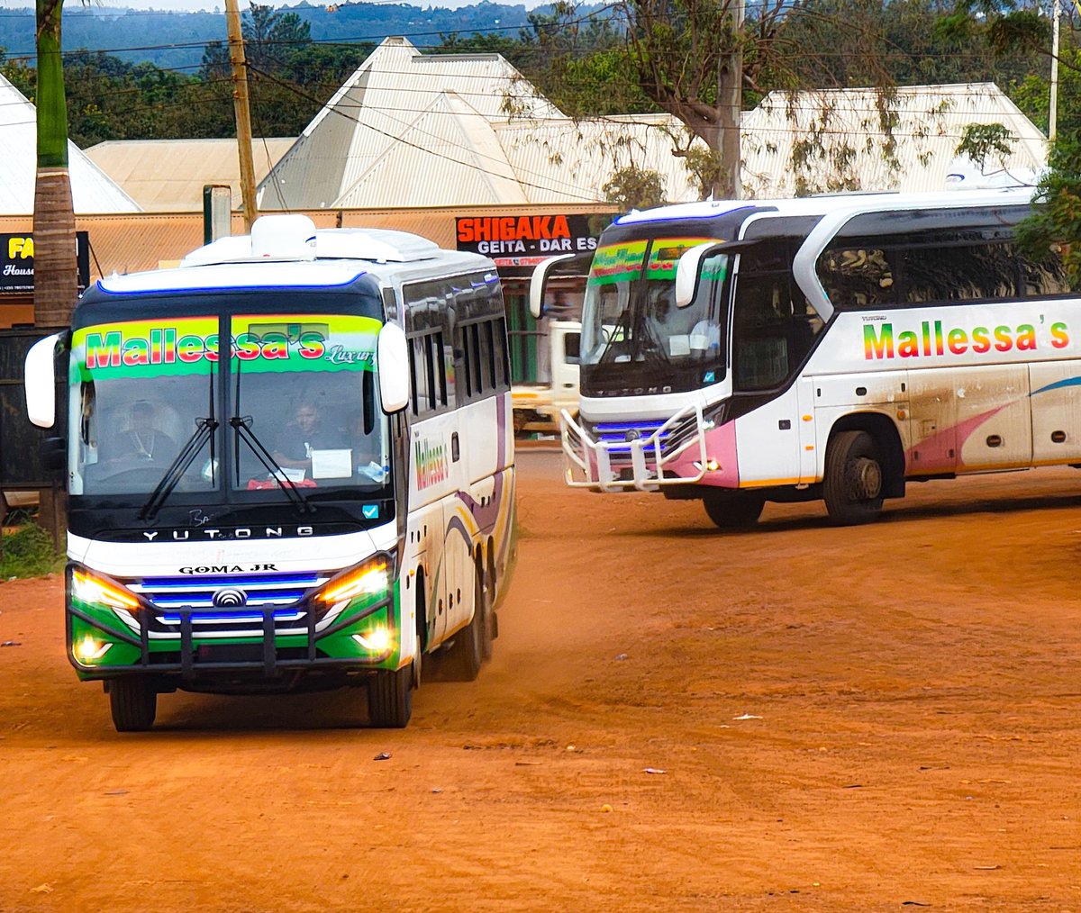 Tanzania Bound Buses tweet media