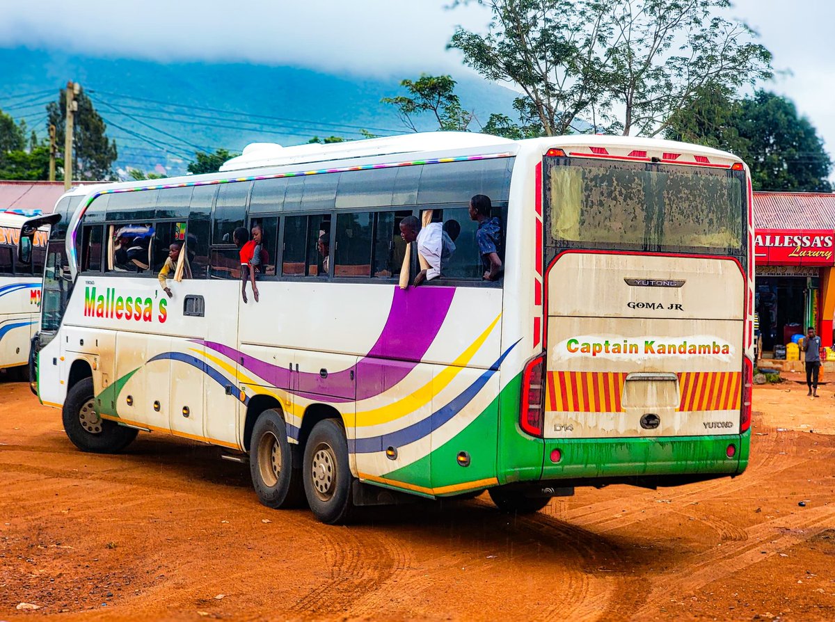 Tanzania Bound Buses tweet media