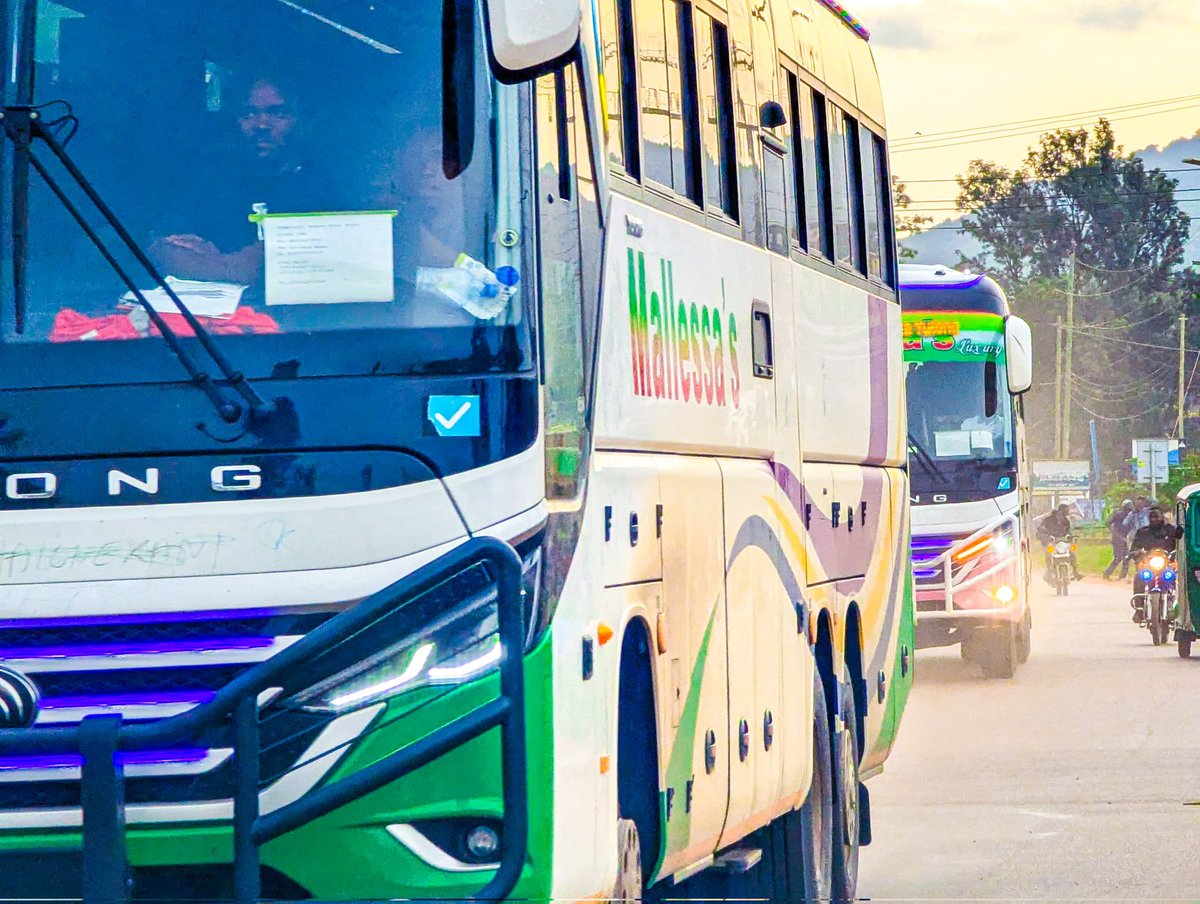 Tanzania Bound Buses tweet media