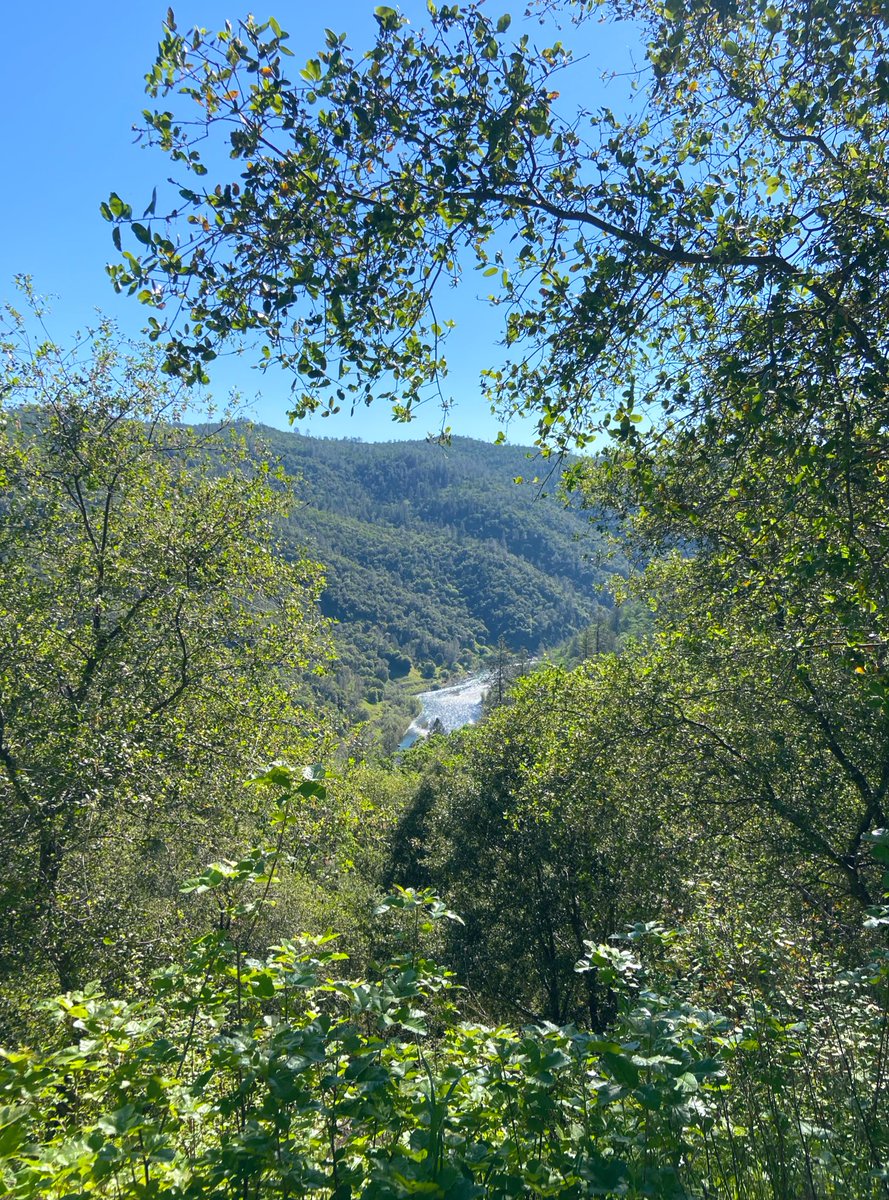 jacque boatman tweet media