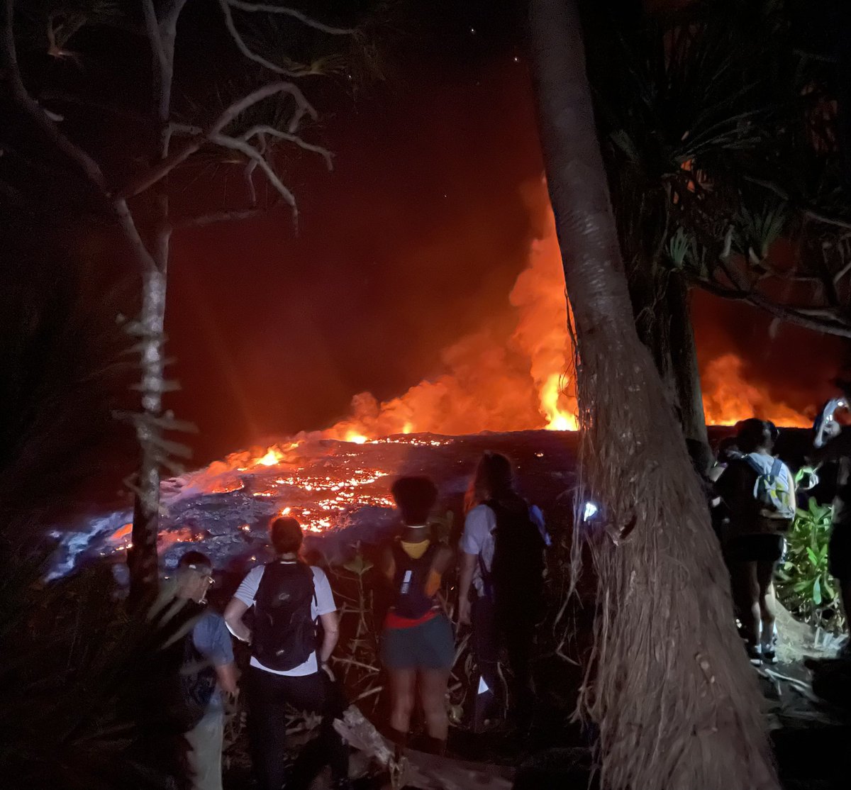 MP 974👨🏽🏫🌍⏳🏺🐈🐝✈️🇷🇪🇫🇷 tweet media