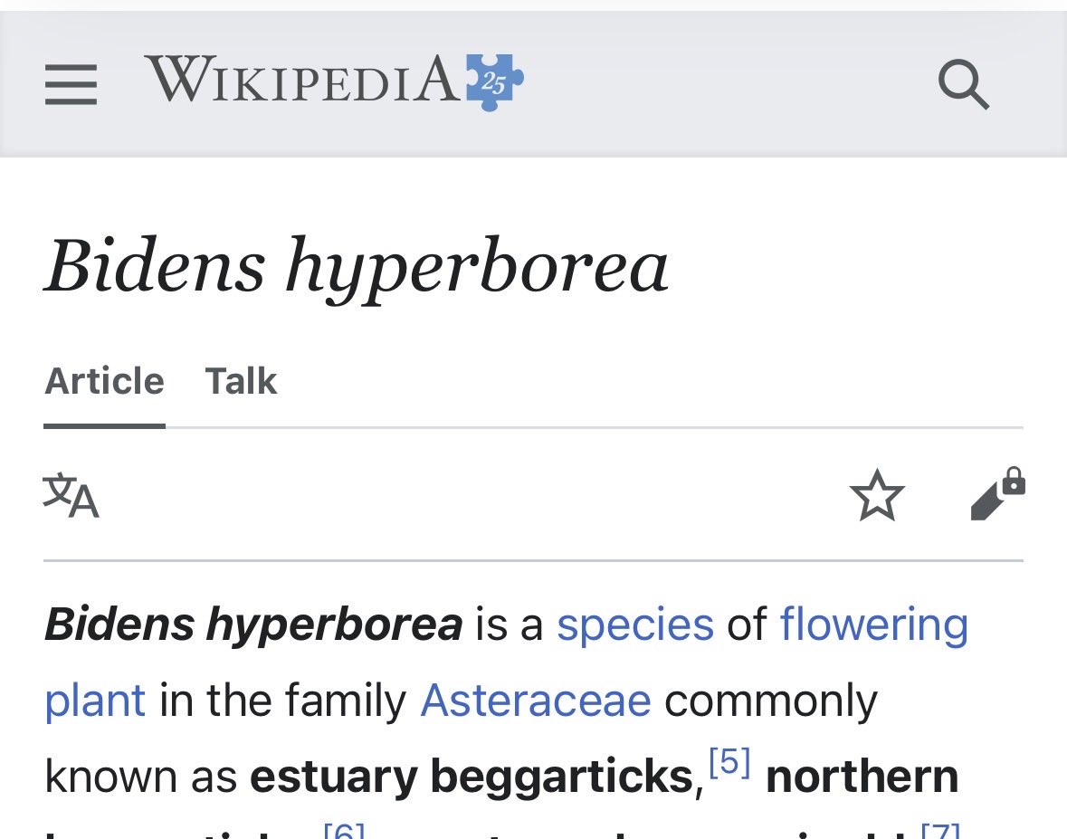 Iranian Offramps NEPA Compliance Consultant tweet media