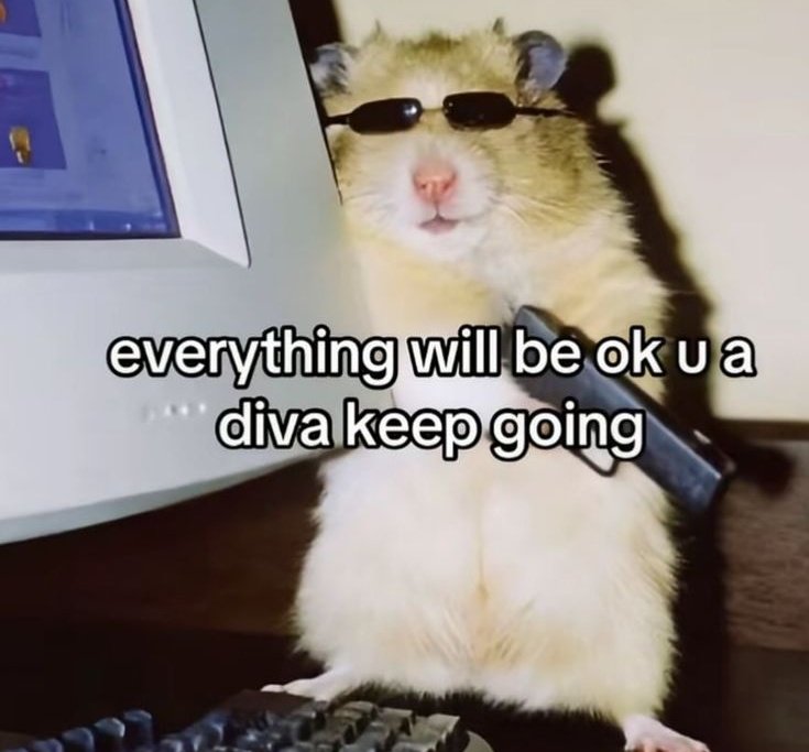 Haze🪄 tweet media