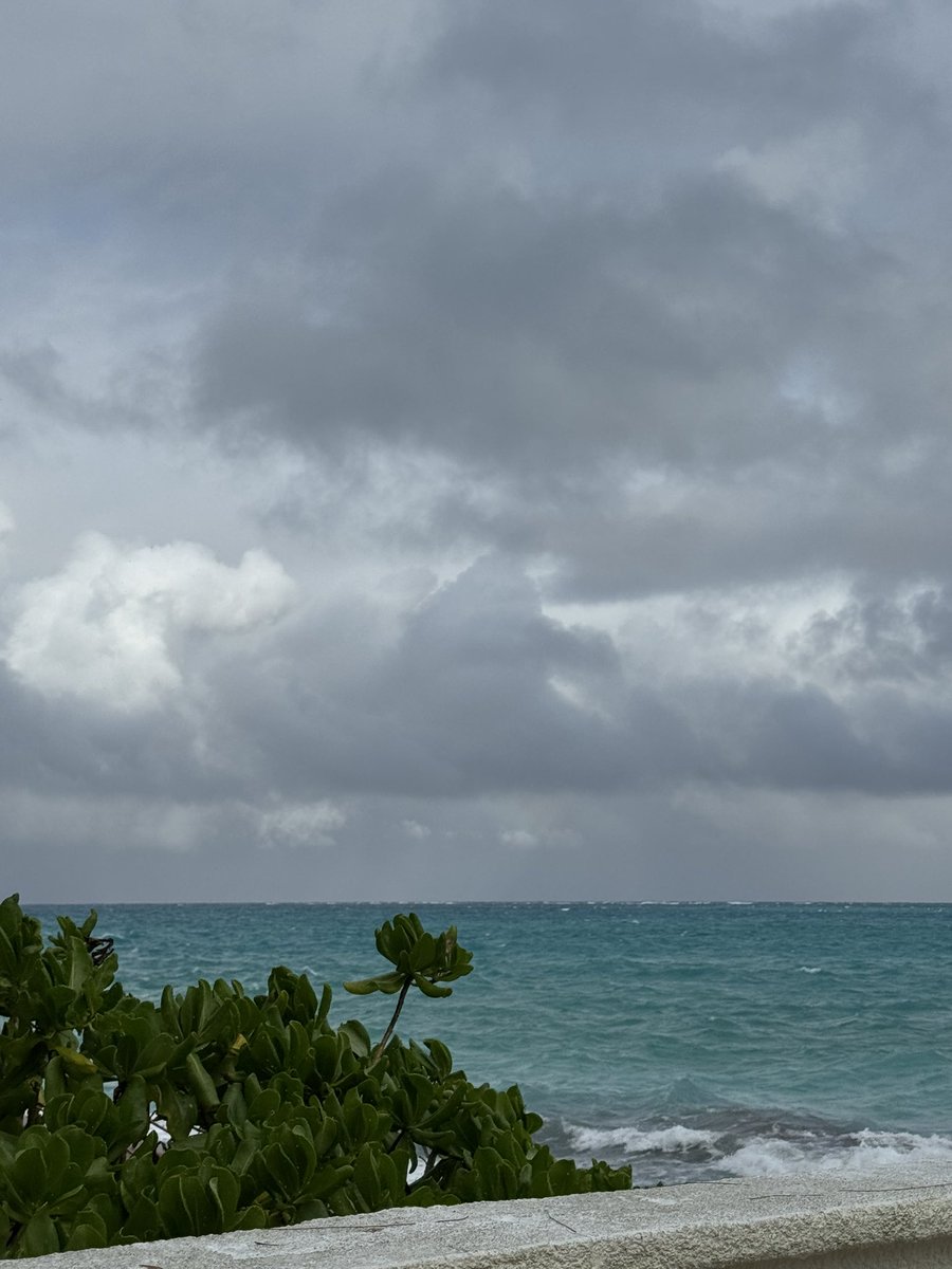 Lyrian Labs tweet media