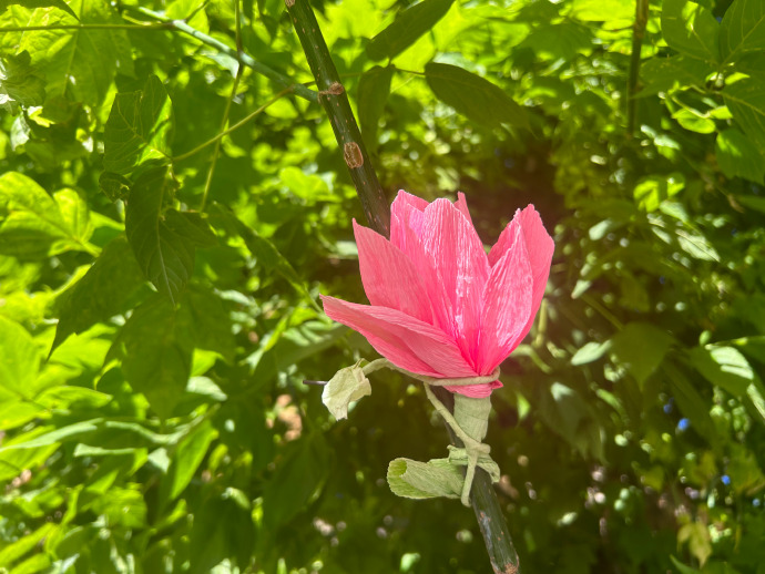 Randolph Gazmen tweet media