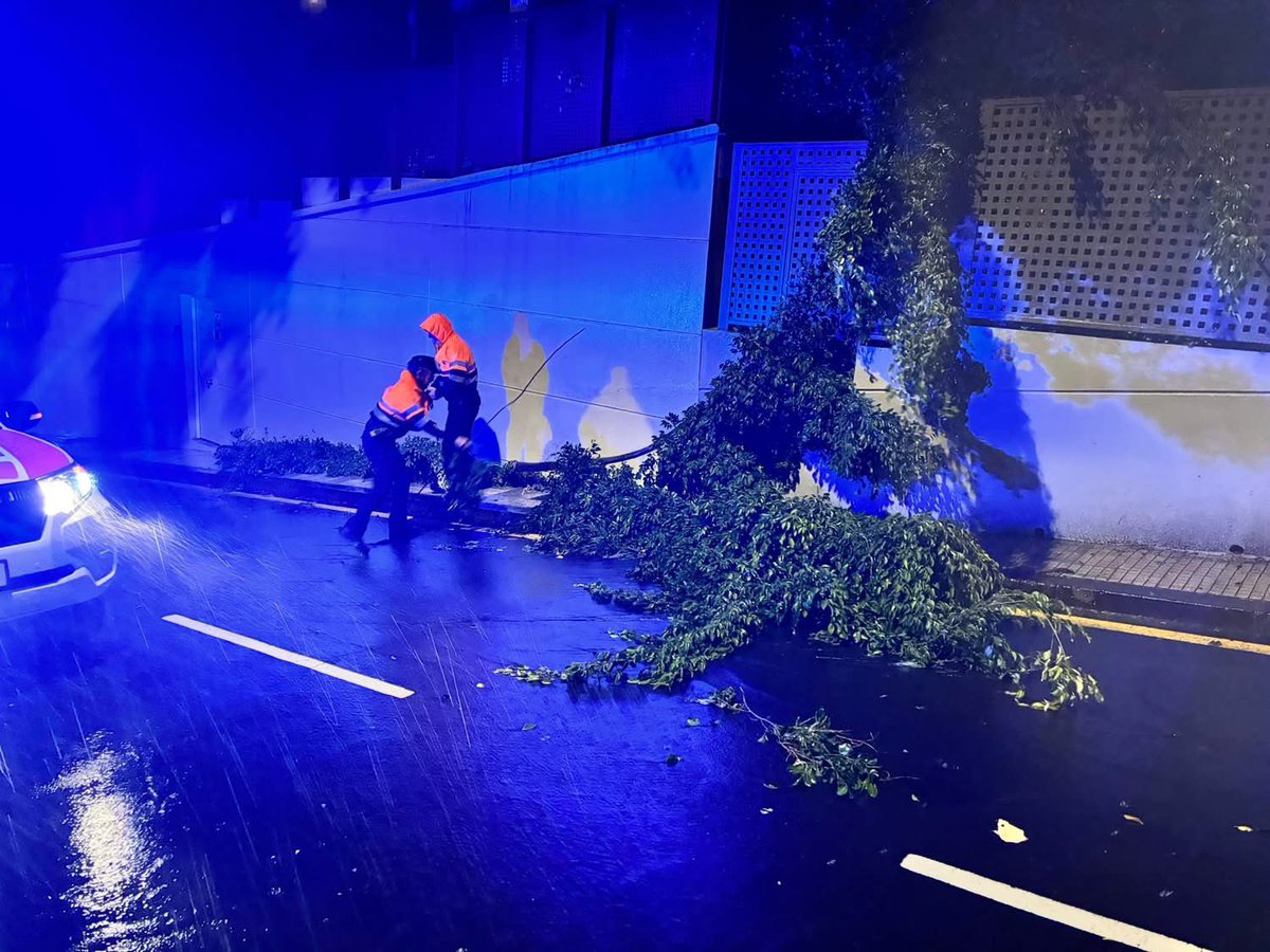 Voluntariado de Protección Civil SC Tenerife tweet media