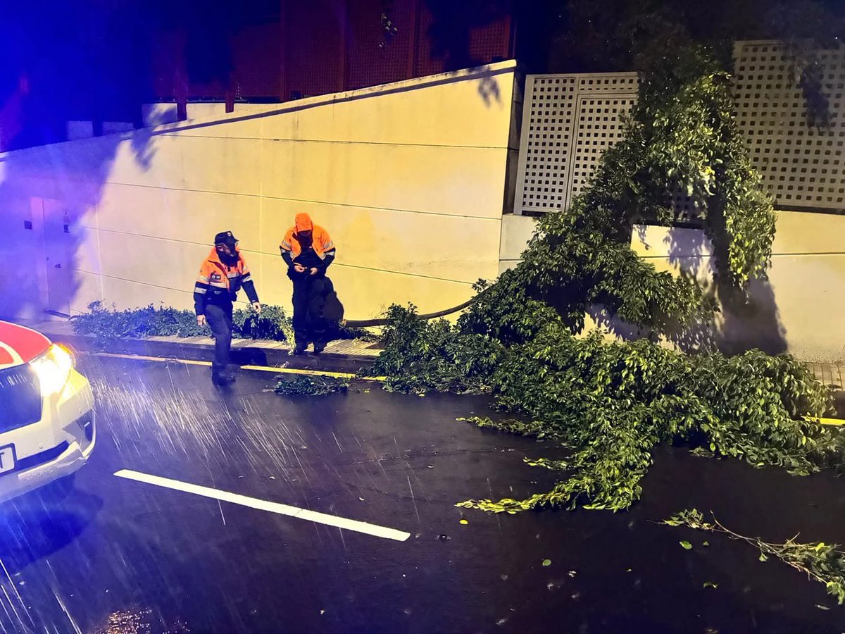 Voluntariado de Protección Civil SC Tenerife tweet media