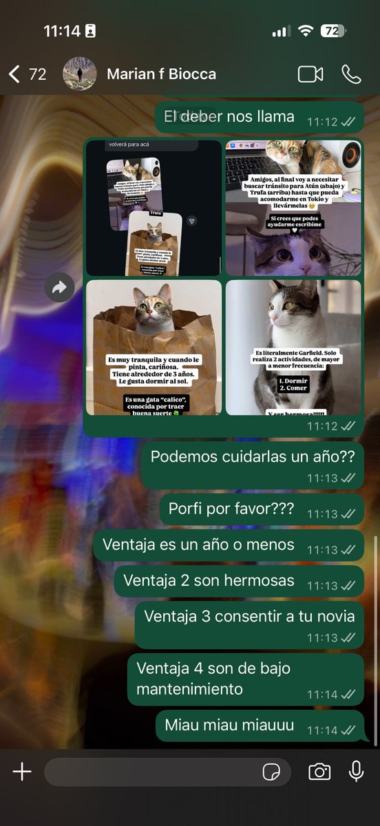 ade buyé tweet media