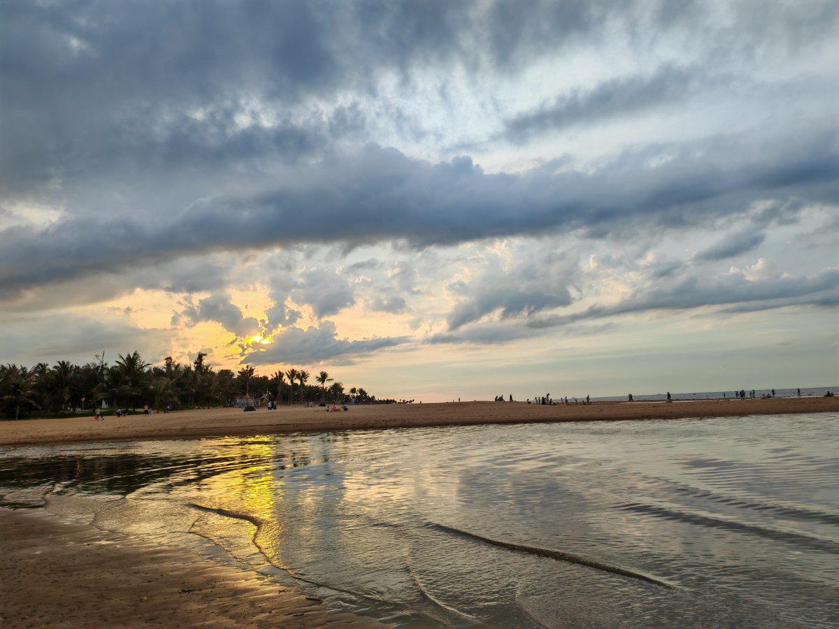 03053218424Issa Rodnani tweet media