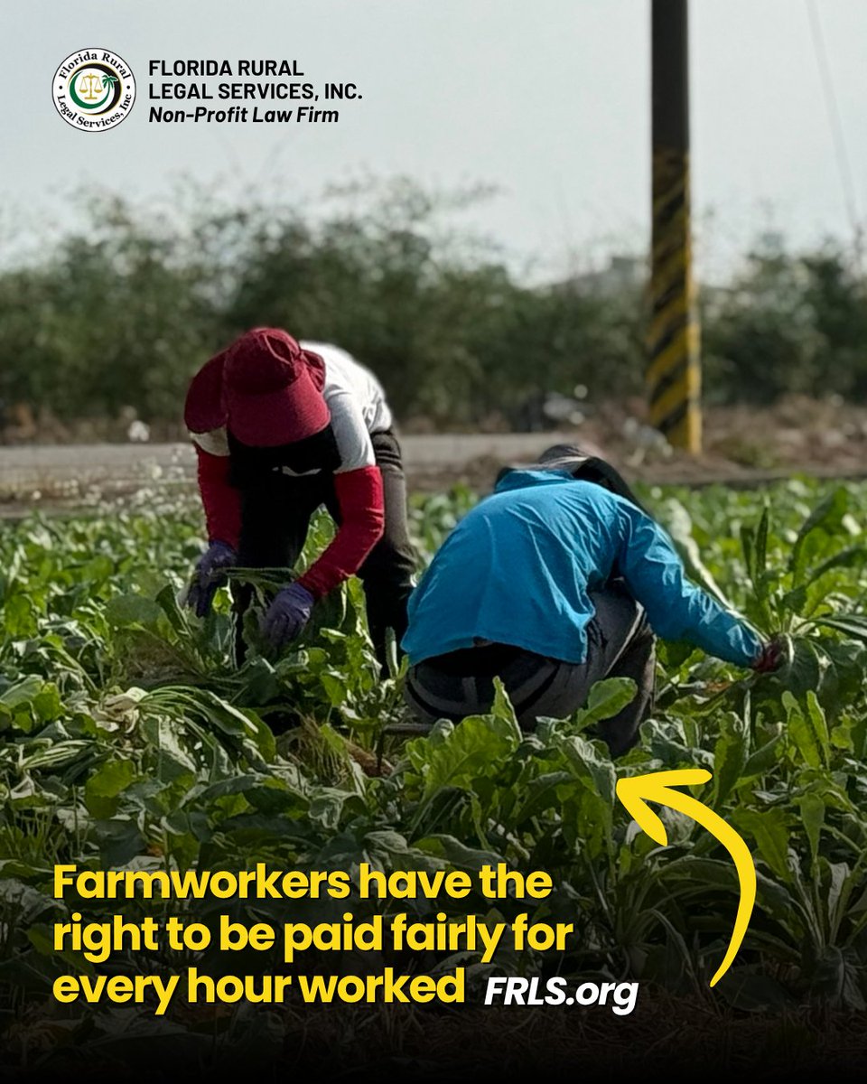 FRLS, Inc. tweet media