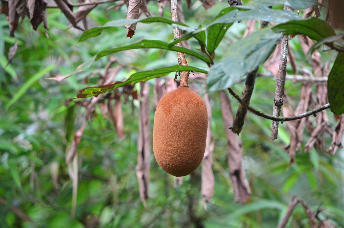 Colombia Belleza Pura tweet media