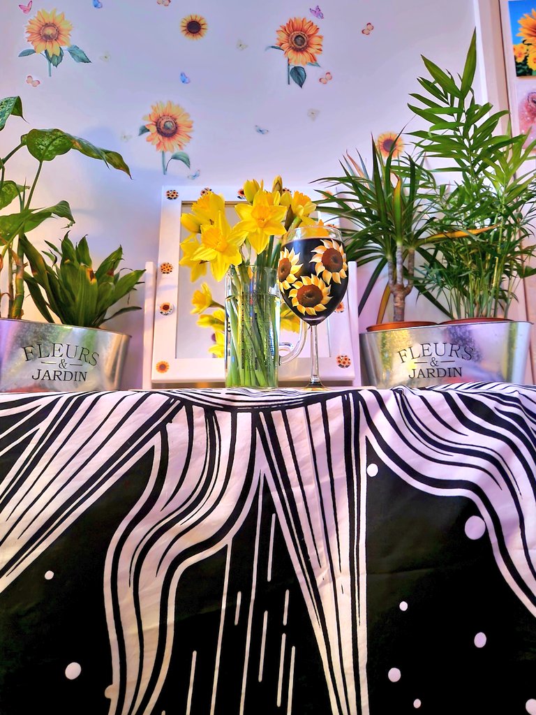 CJ Sunflower 🌻🌻💛 tweet media