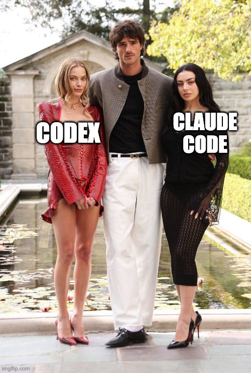 CAPET ☀️ tweet media