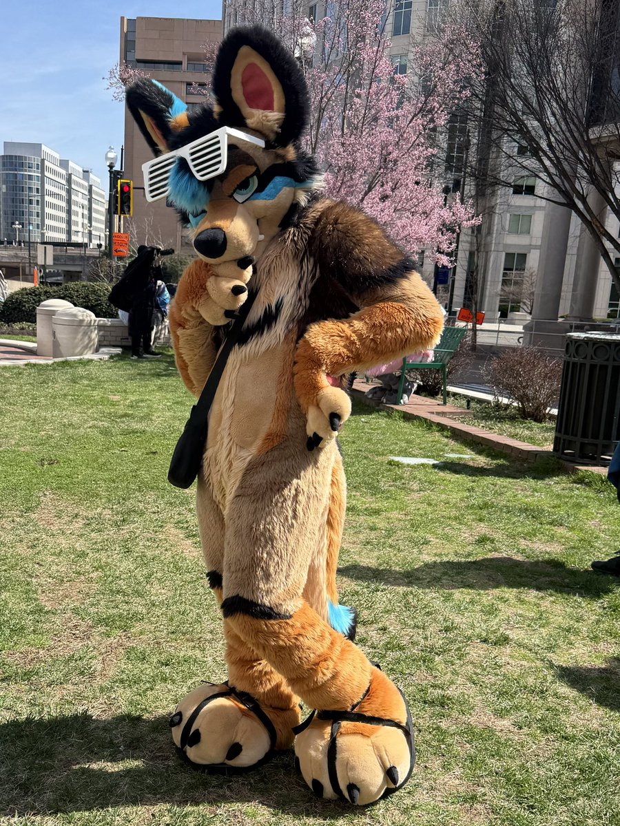 The Yotte 🔜 LVFC, FWA tweet media