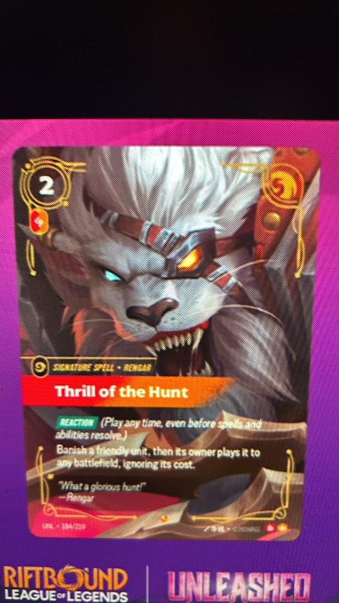 Newrof🔜RQ Lille🇫🇷 tweet media