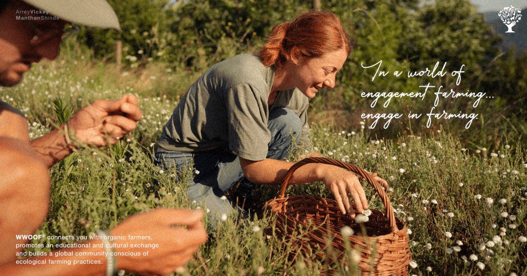 Manthan Shinde tweet media