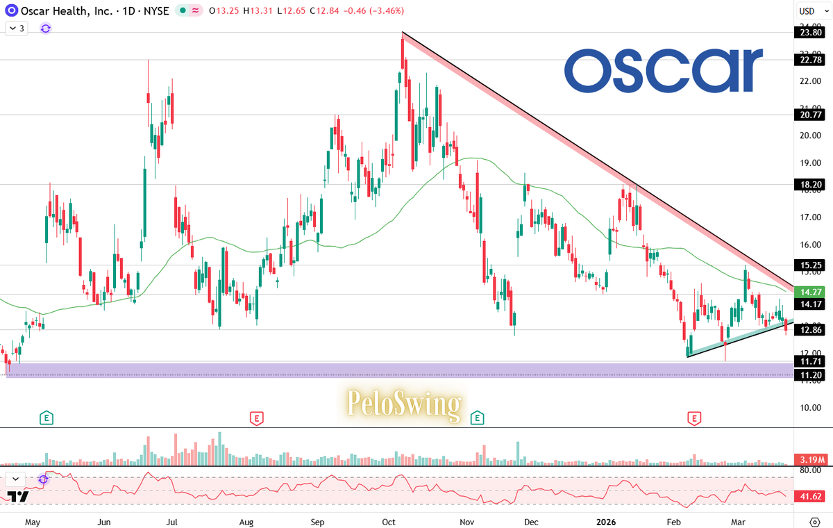 PeloSwing🎯👸🏻 tweet media