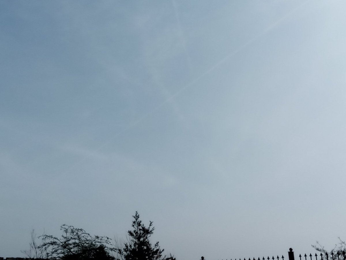 Robyn Tomos tweet media