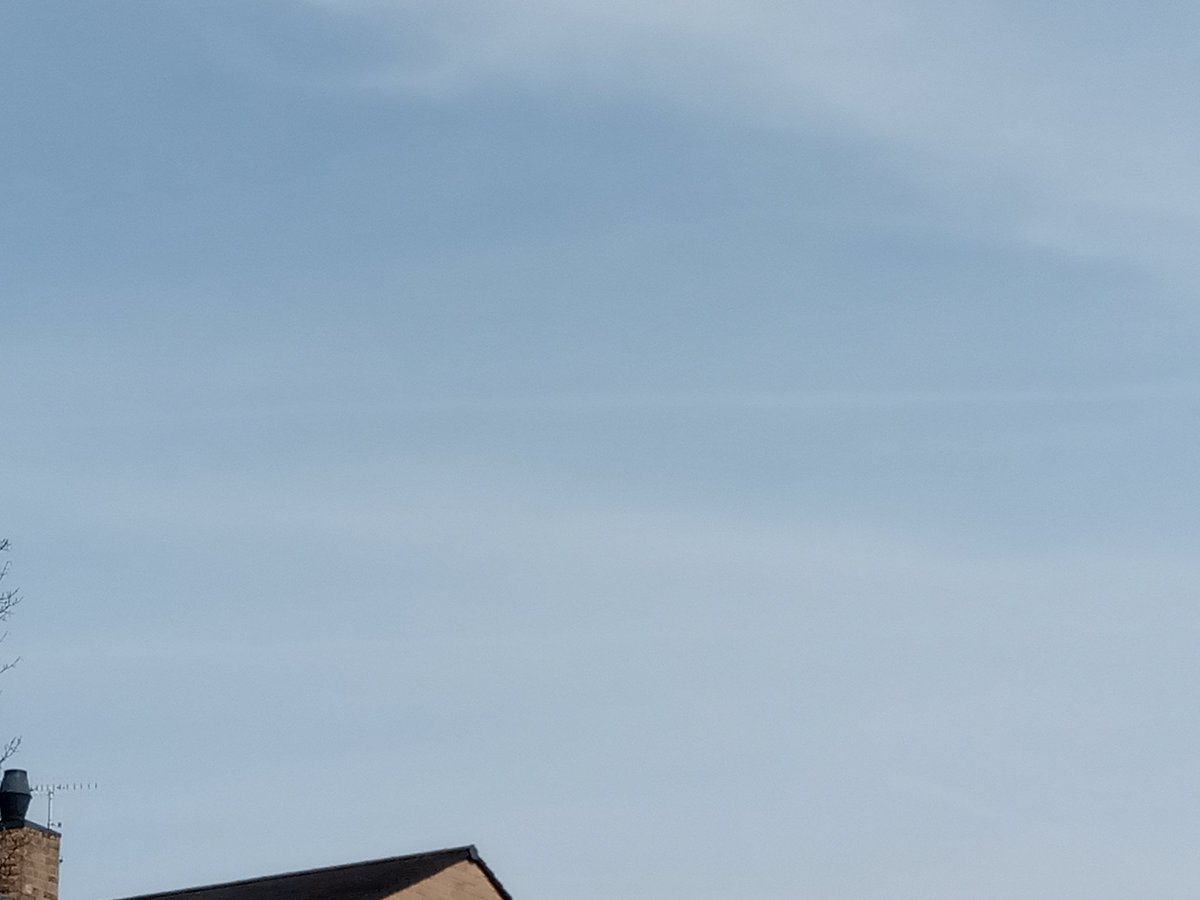 Robyn Tomos tweet media